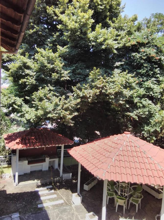Garden House Kateriniアパートメント エクステリア 写真